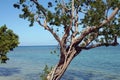 Jamaica Coastline