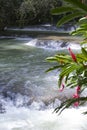 Jamaica. Dunn's River waterfalls Royalty Free Stock Photo