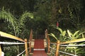 Jamaica Konoko falls park a wooden path leads deep into the trop