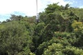 Jamaica Mystic Mountain cable car in the rainforest