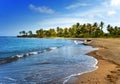 Jamaica. A national boat on sandy coast of a bay