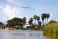 Jamaica. National boats on Black river Royalty Free Stock Photo