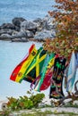 Jamaican flag and colors, and Rastafarian colors