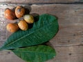 Jambe fruit and leaves on wood background Royalty Free Stock Photo
