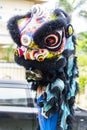 Jambi, Indonesia - January 28, 2017: Lion dance doing acrobatics to celebrate Chinese New Year