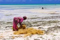 Jambiani Zanzibar coconut work