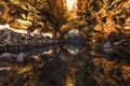 Jameos del Agua, Lanzarote, Canary Royalty Free Stock Photo