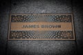 James Brown paving slab
