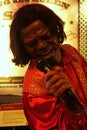 James Brown Wax Figure