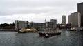 James Craig tall ship and Manly ferry sailing out