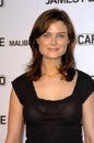 Emily Deschanel Royalty Free Stock Photo