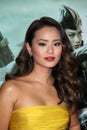 Jamie Chung Royalty Free Stock Photo