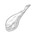 Jamon leg. Vintage black vector engraving illustration. Isolated on white background.