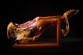 Jamon serrano. A Spanish ham. Royalty Free Stock Photo