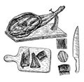 Jamon sketch illustration. Spanish jamon hand drawn sketch illustration