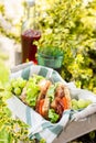 Jamon and vegetable sandwiches in a basket, grapes and berry juice, outdoor picnic