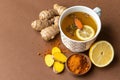 Jamu Indonesian Herbal Beverage with Turmeric, Ginger, and Lemon Royalty Free Stock Photo