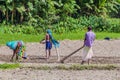 JAMUNA, BANGLADESH - NOVEMBER 7, 2016: Peasant family on a char sandbank island in Jamuna river near Bogra, Banglades