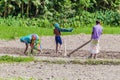 JAMUNA, BANGLADESH - NOVEMBER 7, 2016: Peasant family on a char sandbank island in Jamuna river near Bogra, Banglades