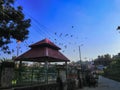 01-jan-2020/ group of pigeon flying in open sky in rewalsar, himachal pradesh, India