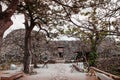 Ruin and remain of stone wall of Nakijin Gusuku castle remain, N