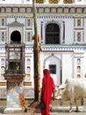 Janakpur Janki Mandir courtyard Royalty Free Stock Photo