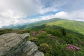 Jane Bald in Spring Royalty Free Stock Photo