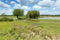 Janes Moor lake New Forest Hampshire England UK popular tourist location Royalty Free Stock Photo