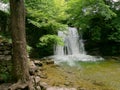 Janet`s Foss, Malhamdale, Yorkshire, UK Royalty Free Stock Photo