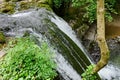 Janet`s Foss Waterfall and Gordale Beck, near Malham Cove, Yorkshire Dales, England, UK Royalty Free Stock Photo