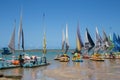 Jangada boats Porto de Galinhas