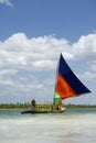 Jangada Traditional Sailboat Sailing Brazilian Beach