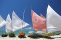 Jangada Traditional Sailboats Brazilian Beach