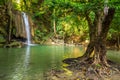 Jangle landscape with flowing turquoise water Royalty Free Stock Photo