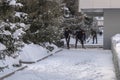 Janitors are cleaning snow on street after snowstorm. Manual work. Ice storm. Cleaning service.