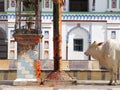 Janki Mandir