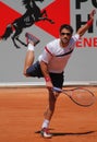 Janko Tipsarevic Tennis Player Royalty Free Stock Photo