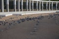 Jannat al-Mualla is Muslim graveyard in Mecca, Saudi Arabia. Jannatul-Mualla Cemetery. Royalty Free Stock Photo