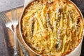 Jansson\'s frestelse or Janssons temptation is a Swedish gratin made from potatoes, onion and sprats closeup
