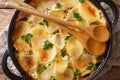 Janssonin Kiusaus baked potato with anchovy fillets, onions and heavy cream close-up in a frying pan on the table. horizontal top Royalty Free Stock Photo