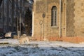 January 19, 2021 Balti Moldova, stray and homeless dogs in the city. Selective focus