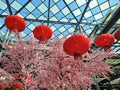 28 january 2020, Bangsar south, Kuala Lumpur. Chinese New Year concept, Pink lamp of chinese new year.