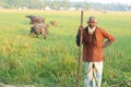 January 06, 2020, Barguna, Bangladesh. A farmer rides a buffalo