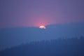 Purple smoke haze sunset through mountain trees great dividing range Victoria Royalty Free Stock Photo