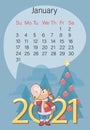 January 2021. Calendar. Funny calf on the background of Christmas tree, large numbers. Year of Ox.