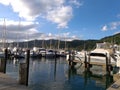 Yachts, Chaguaramas, Trinidad and Tobago