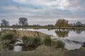 January cloudy morning at Bushy Park