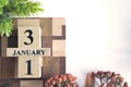 January 31, Cover calendar design in natural concept.