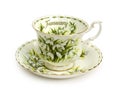 January Cup and Saucer Royalty Free Stock Photo