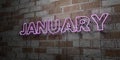 JANUARY - Glowing Neon Sign on stonework wall - 3D rendered royalty free stock illustration